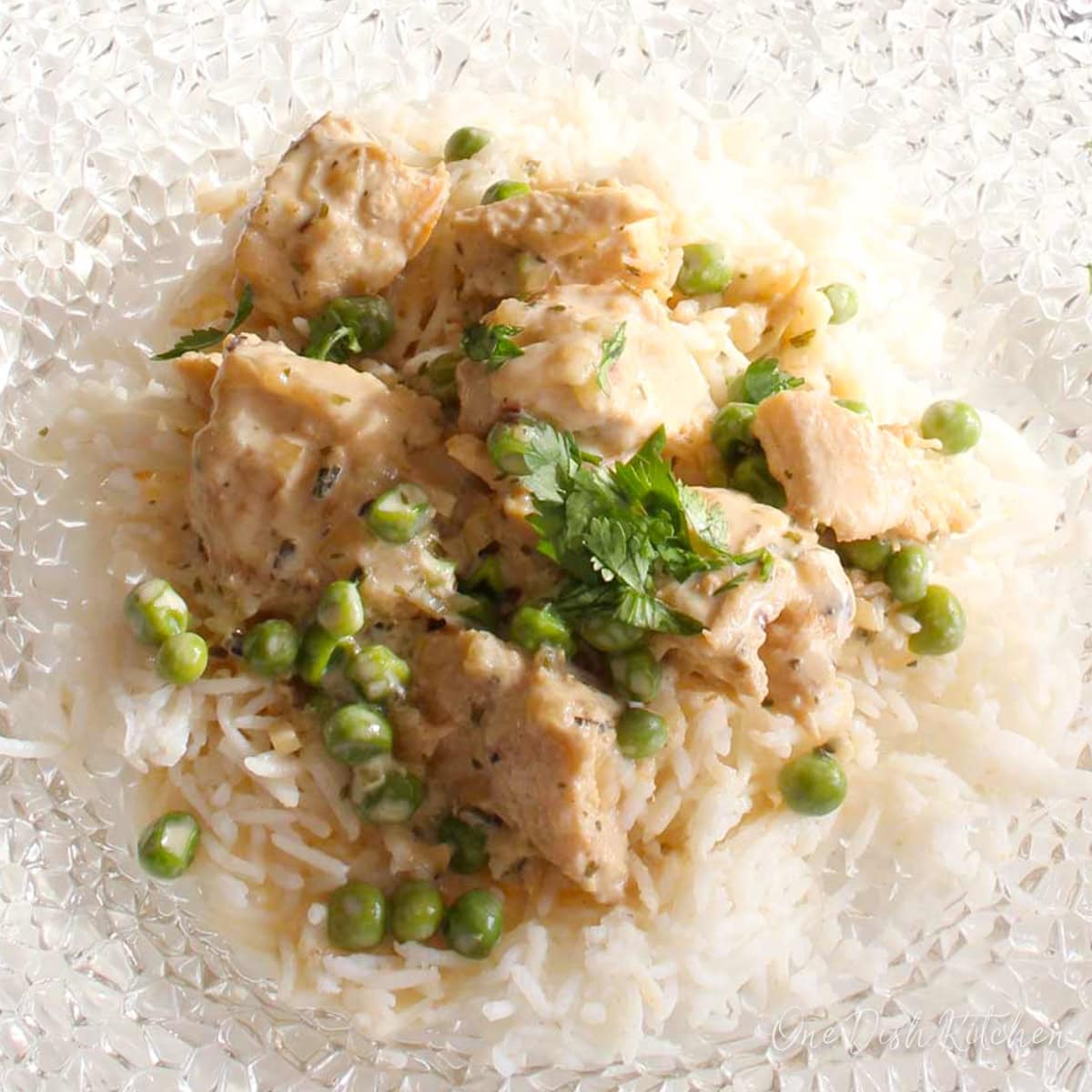 chicken fricassee over rice on a white plate.