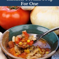 a bowl of chicken tortilla soup with a spoon on the side.