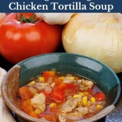 a bowl of chicken tortilla soup.