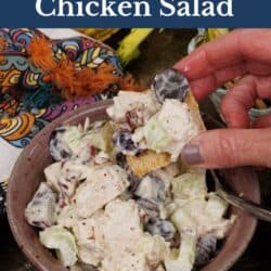 a bowl of chicken salad with crackers on the side.