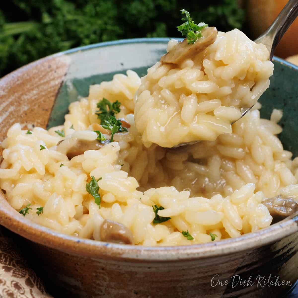 a spoonful of mushroom risotto over a bowl.