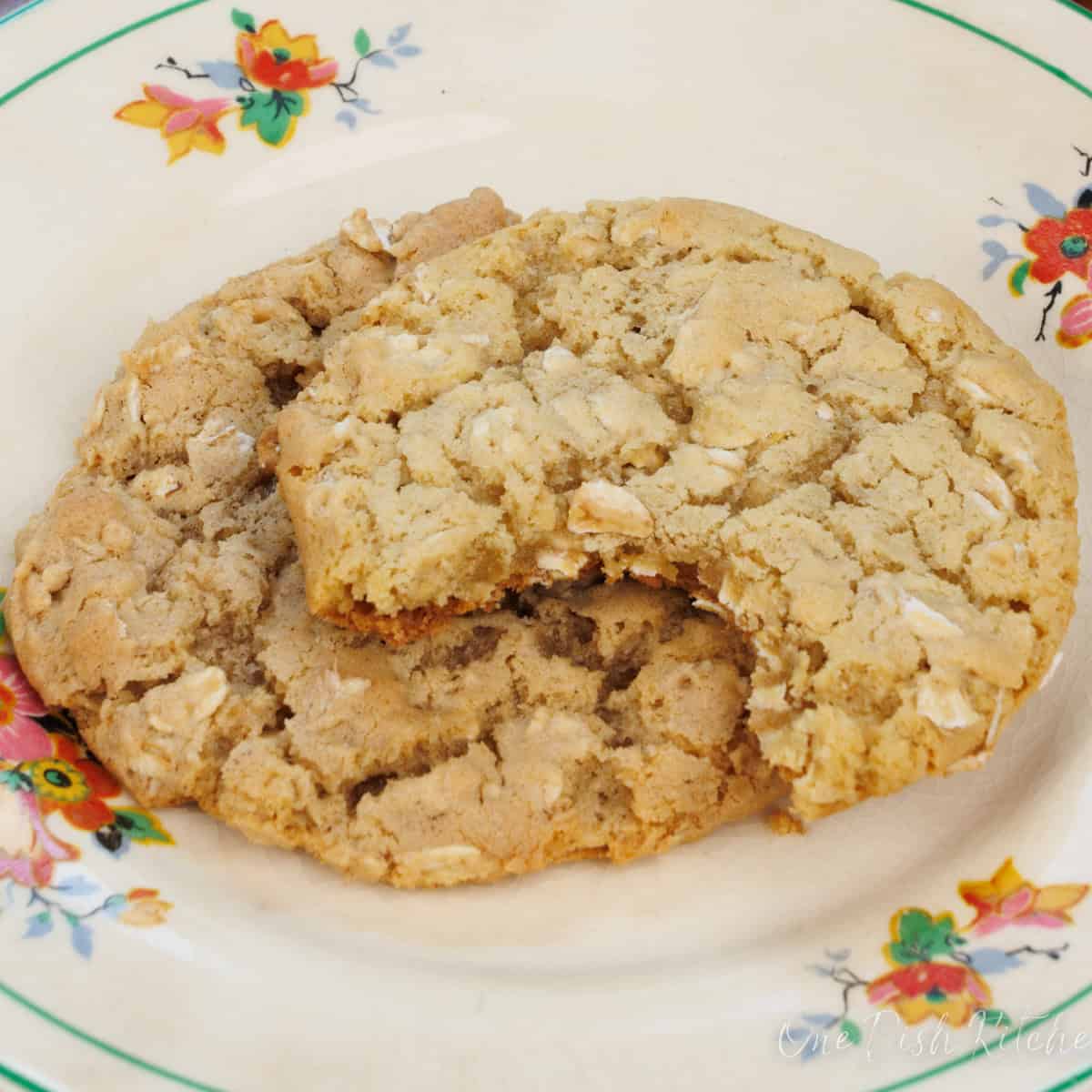 half eaten oatmeal cookies on a plate.