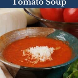 a green bowl filled with tomato soup topped with parmesan cheese.