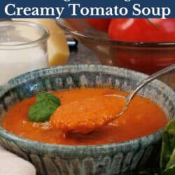 a bowl of creamy tomato soup with a spoon on the side.