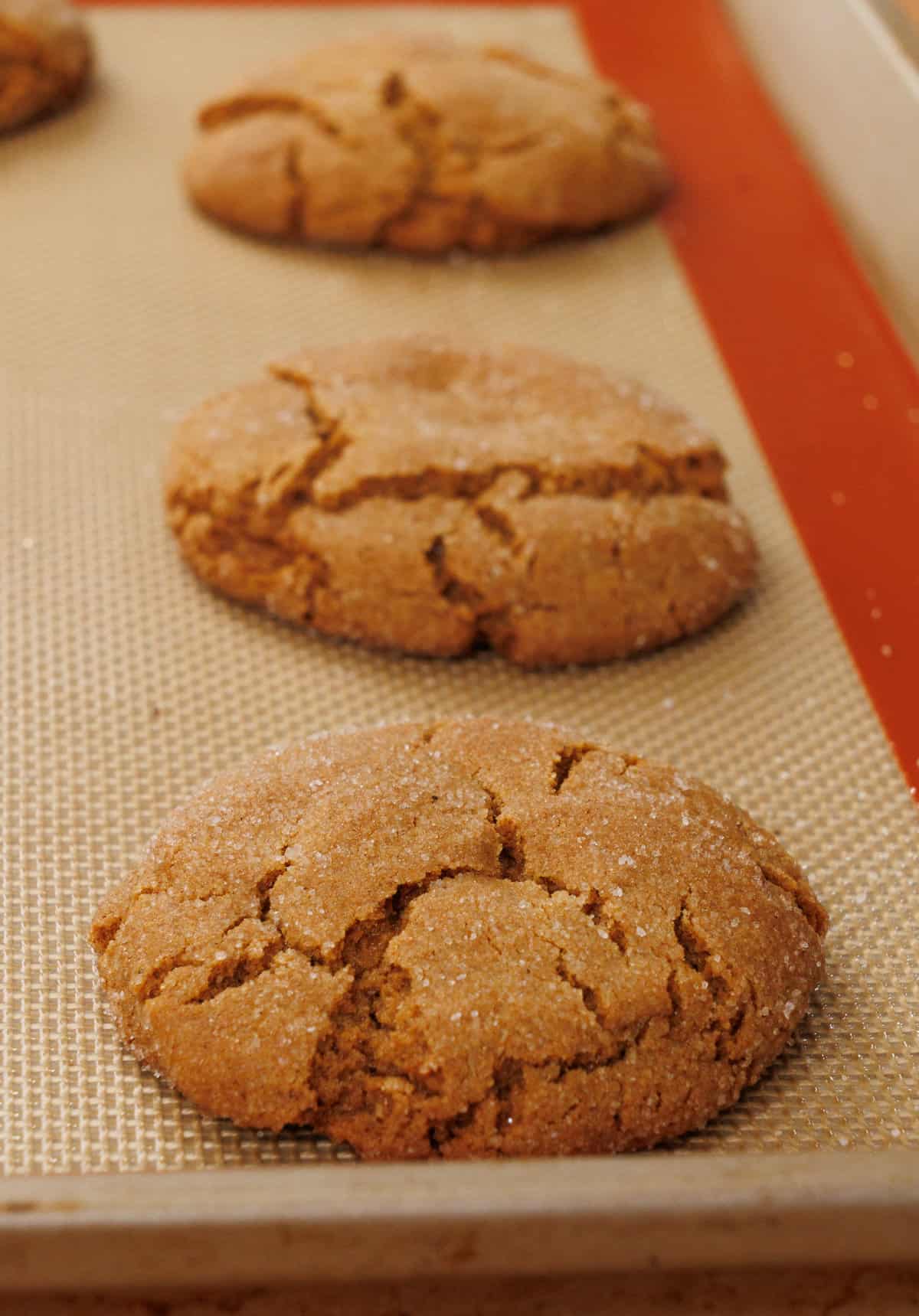 three crackled molasses cookies cooling on a baking sheet