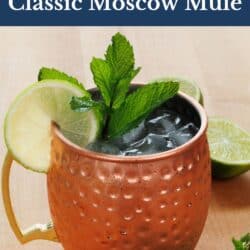 a moscow mule in a copper cup.