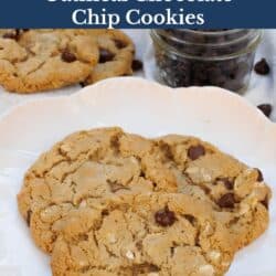 three oatmeal chocolate chip cookies on a plate.