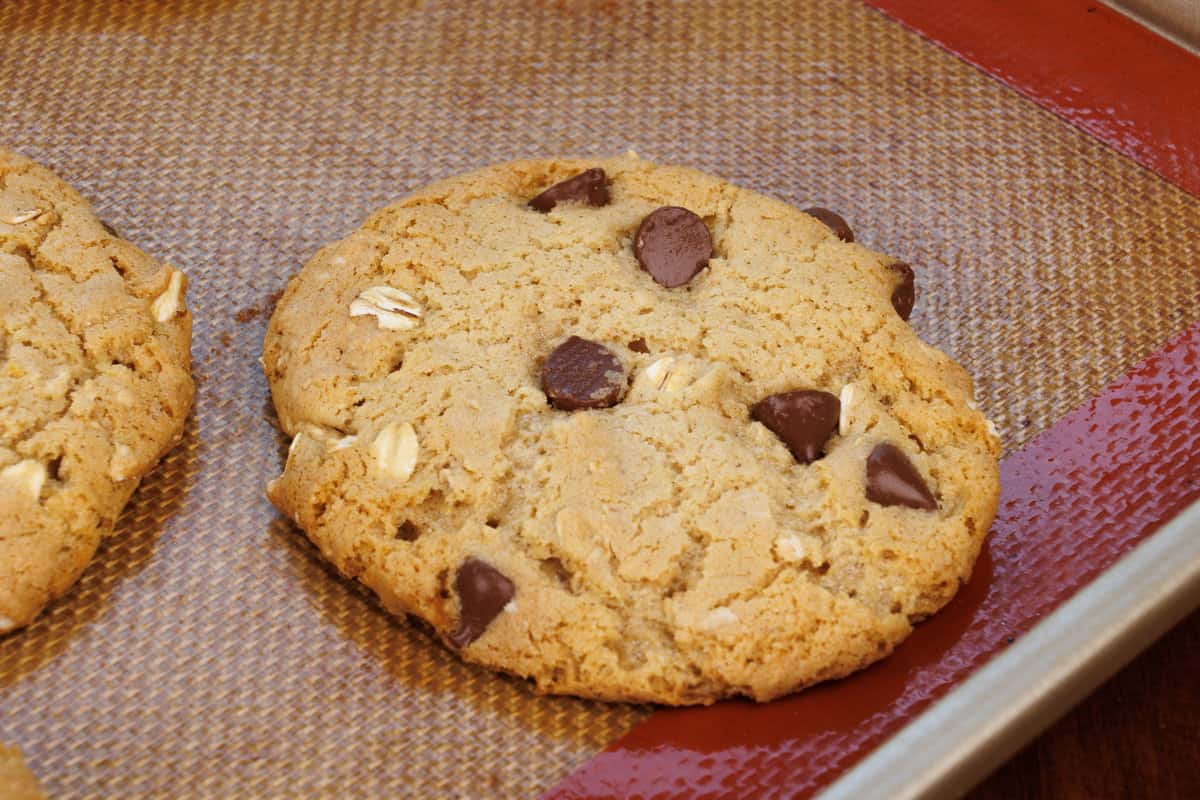 an oatmeal chocolate chip cookie cooling on a baking sheet