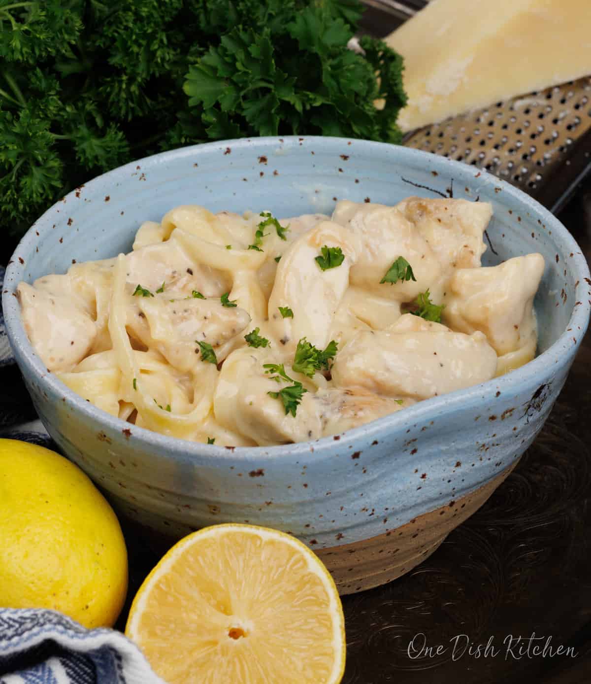 a single bowl of chicken alfredo topped with chopped parsley and parmesan cheese