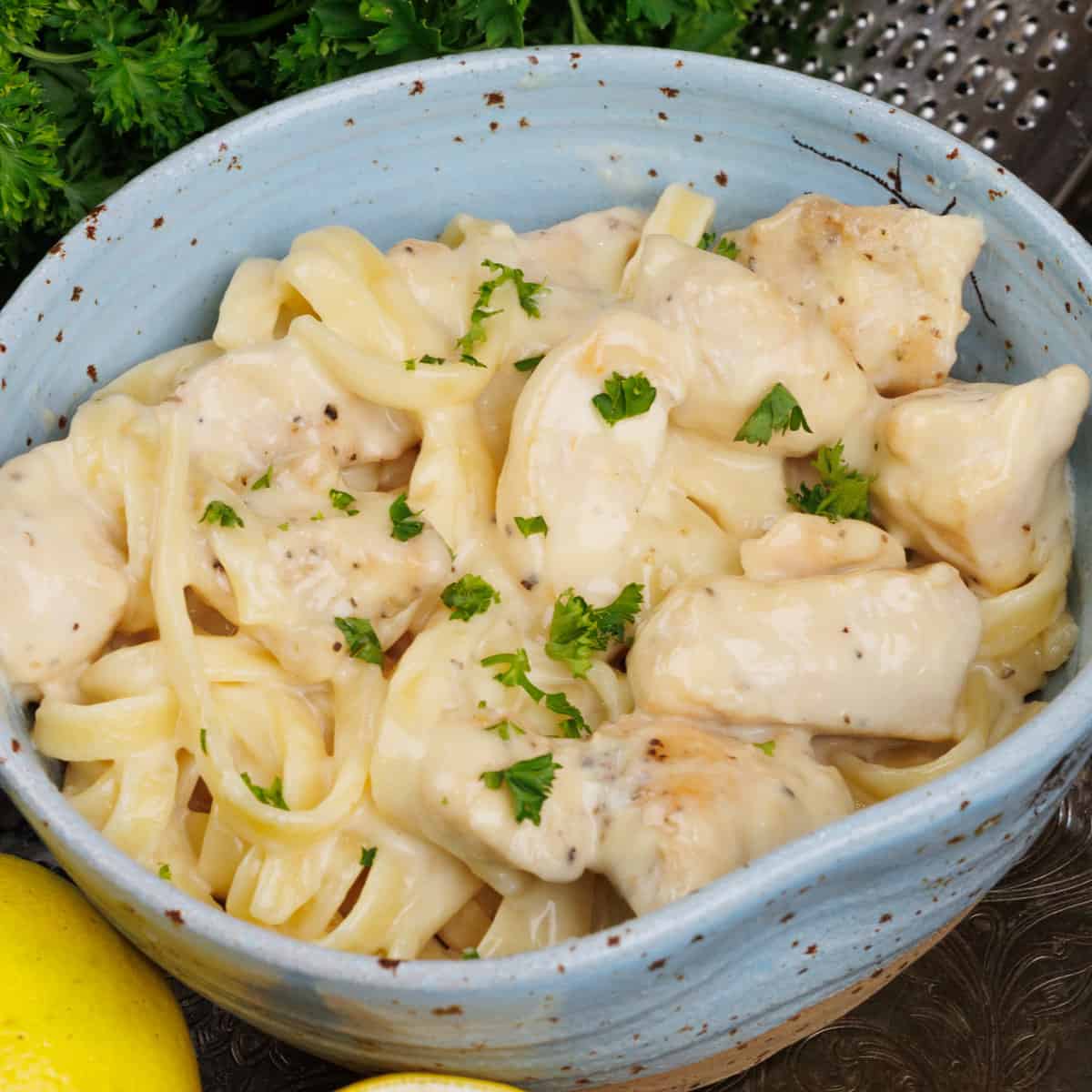 Chicken Alfredo Recipe Single Serving One Dish Kitchen