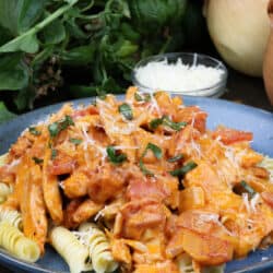 chicken paprika over pasta on a blue plate