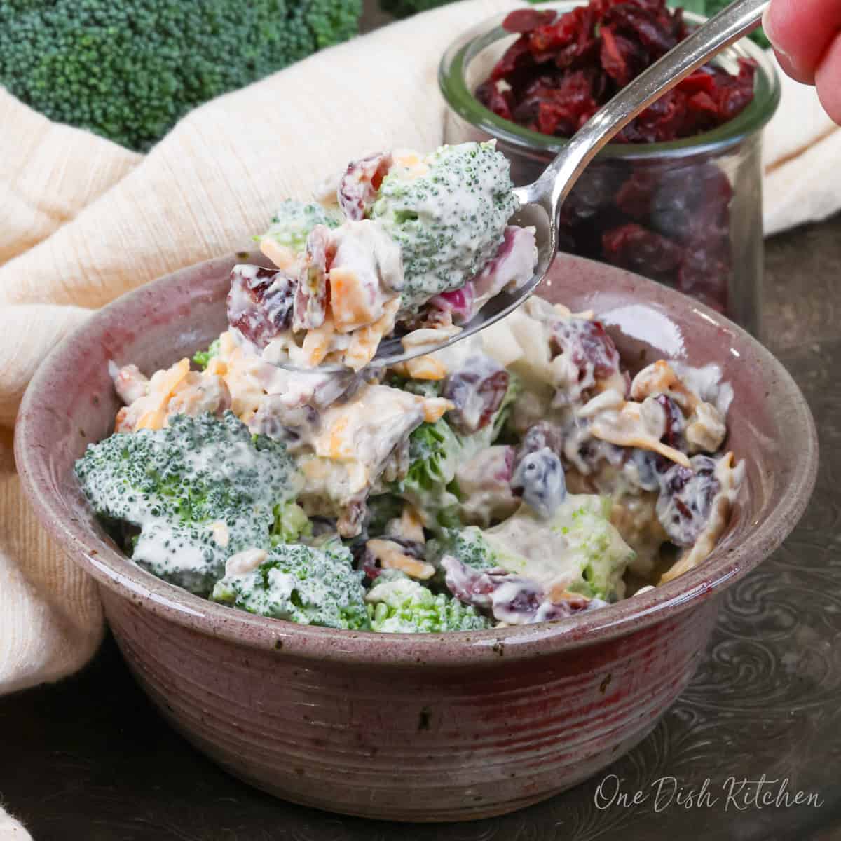 a single serve broccoli salad with dried cranberries, fresh broccoli, and cheese in a bowl.