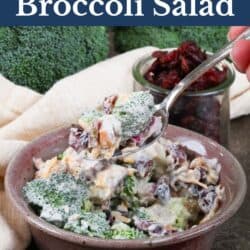 broccoli salad in a pink bowl with a jar of dried cranberries on the side.