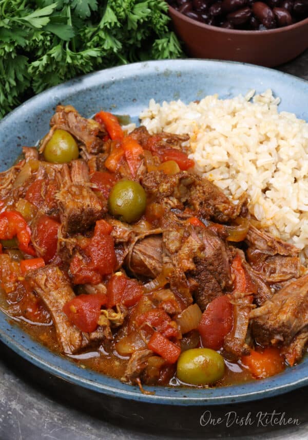 Slow Cooker Ropa Vieja For One - One Dish Kitchen