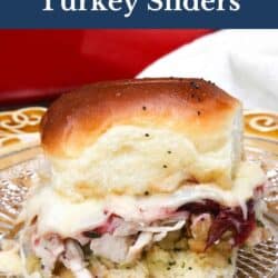 a turkey slider filled with cranberry sauce and cheese on a white plate.