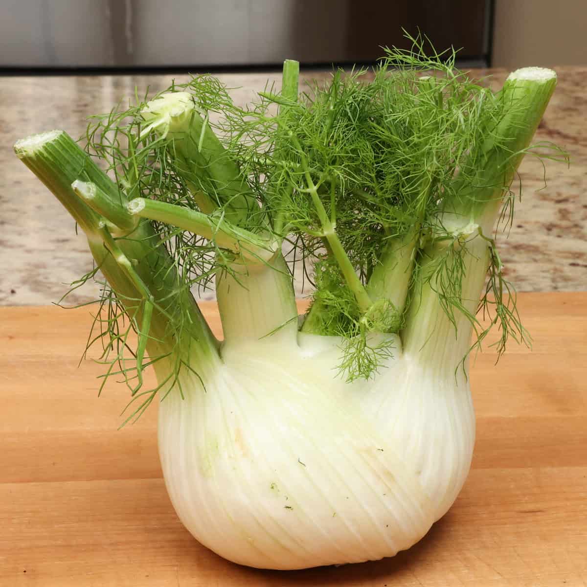fennel on a kitchen counter.