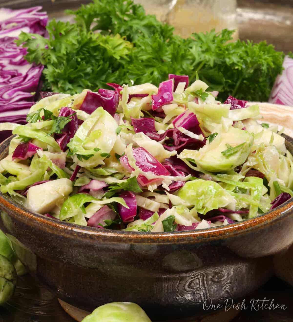 a brussels sprouts salad with red cabbage and red onions in a bowl next to fresh parsley.