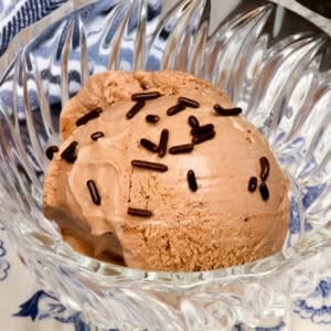 a dessert bowl with a scoop of chocolate ice cream and chocolate sprinkles.