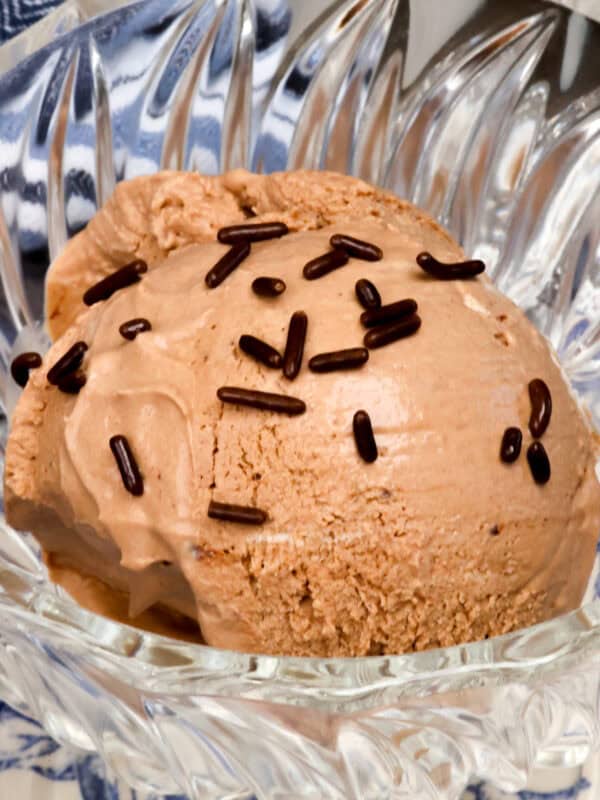 a dessert bowl with a scoop of chocolate ice cream and chocolate sprinkles.