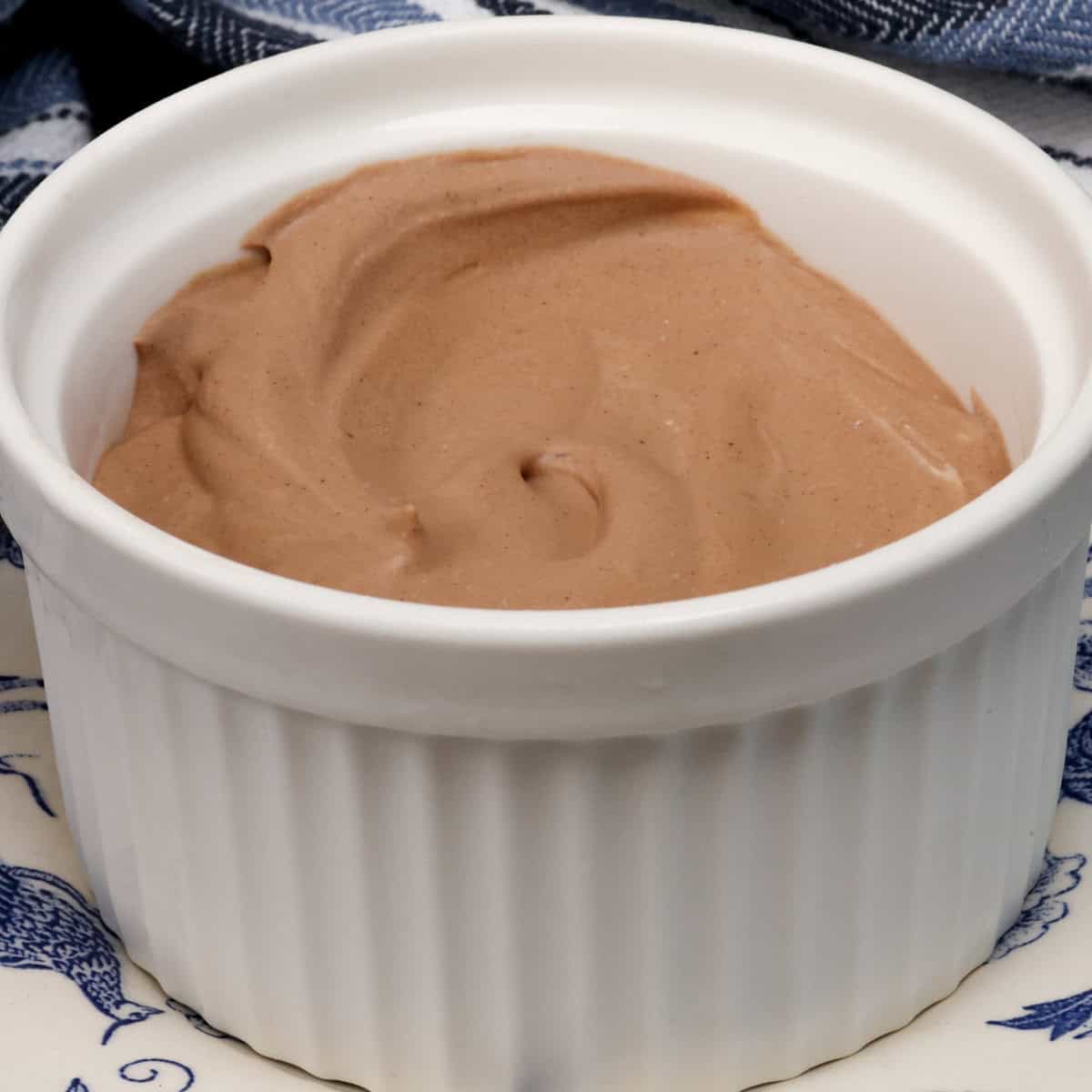 a small bowl of no churn chocolate ice cream.