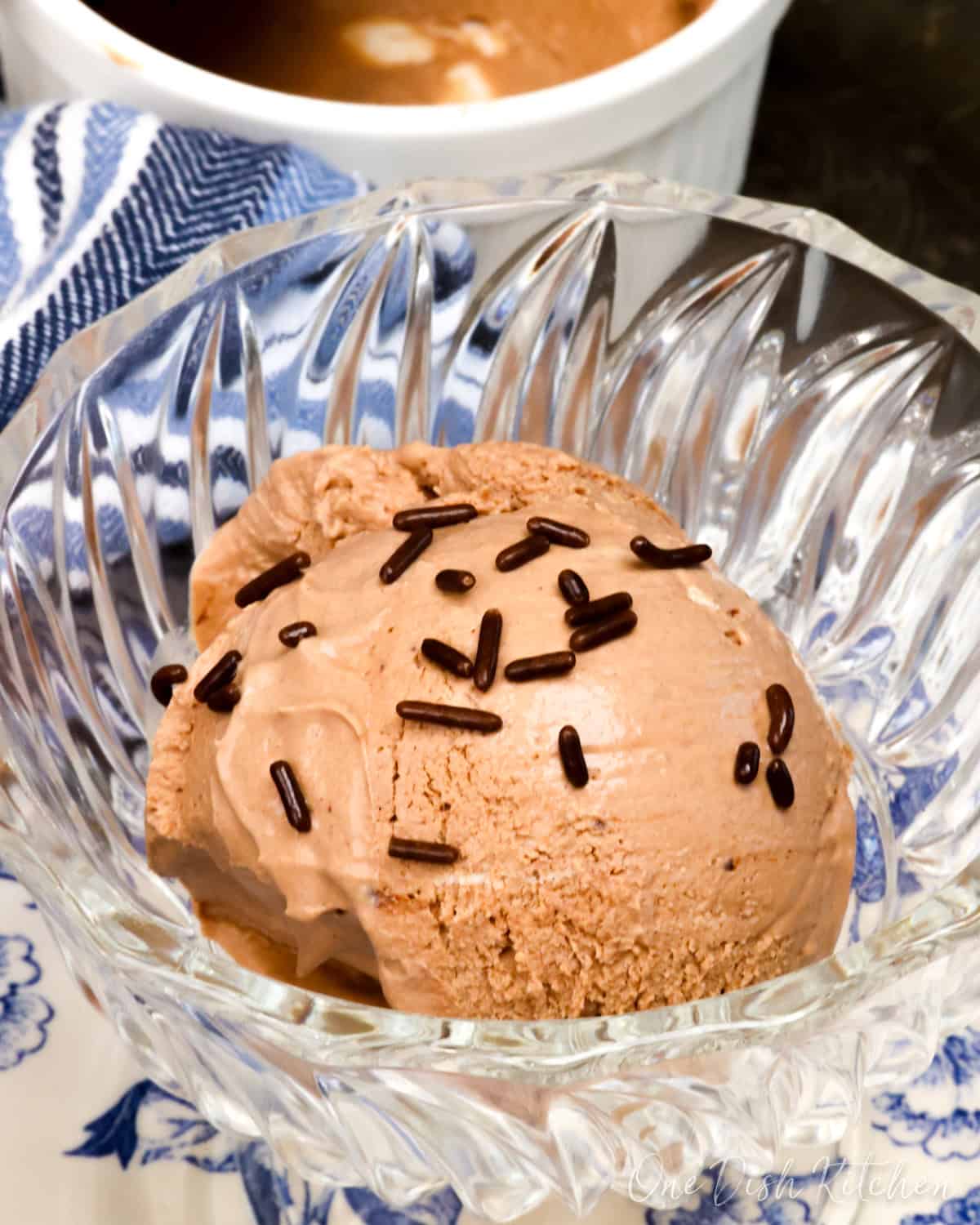 a dessert bowl with a scoop of chocolate ice cream and chocolate sprinkles.