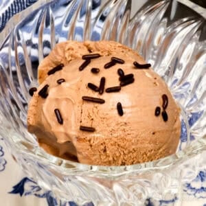 a dessert bowl with a scoop of chocolate ice cream and chocolate sprinkles.