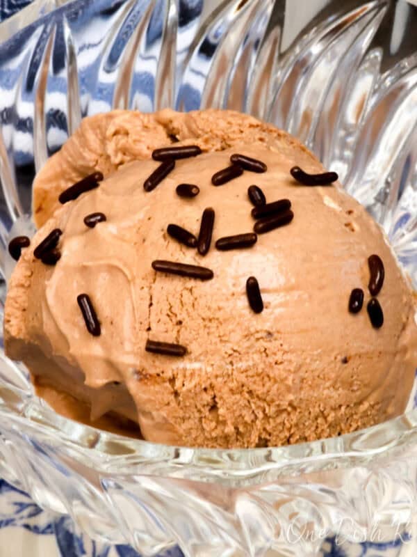 a dessert bowl with a scoop of chocolate ice cream and chocolate sprinkles.