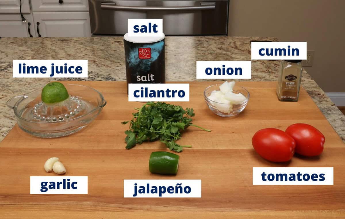 salsa ingredients on a kitchen counter.