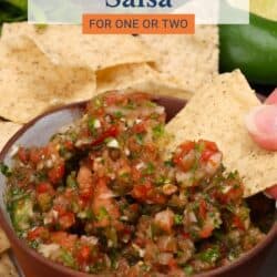 a bowl of fresh salsa with a tortilla chip on the side.