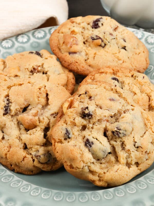 a plate filled with six hermit cookies.