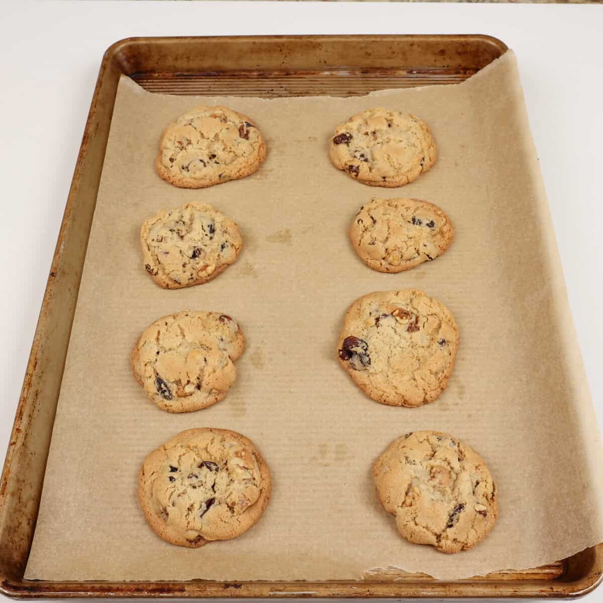 eight hermit cookies on a cookie sheet.