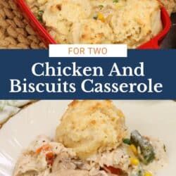 chicken casserole topped with biscuits on a plate.