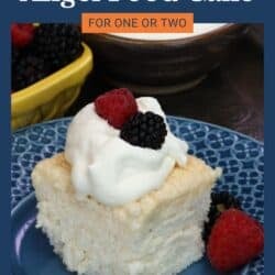 a slice of angel food cake on a blue plate.