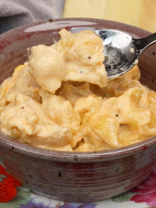 a small bowl of macaroni and cheese made with shells.