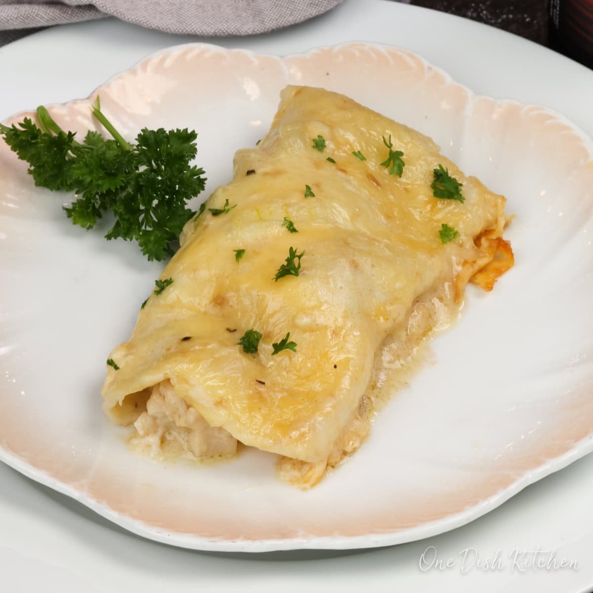 one chicken enchilada on a white plate.