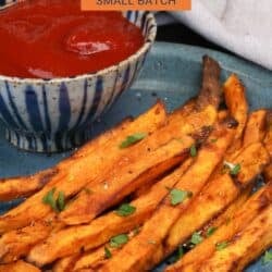 a small batch of sweet potato fries on a plate.