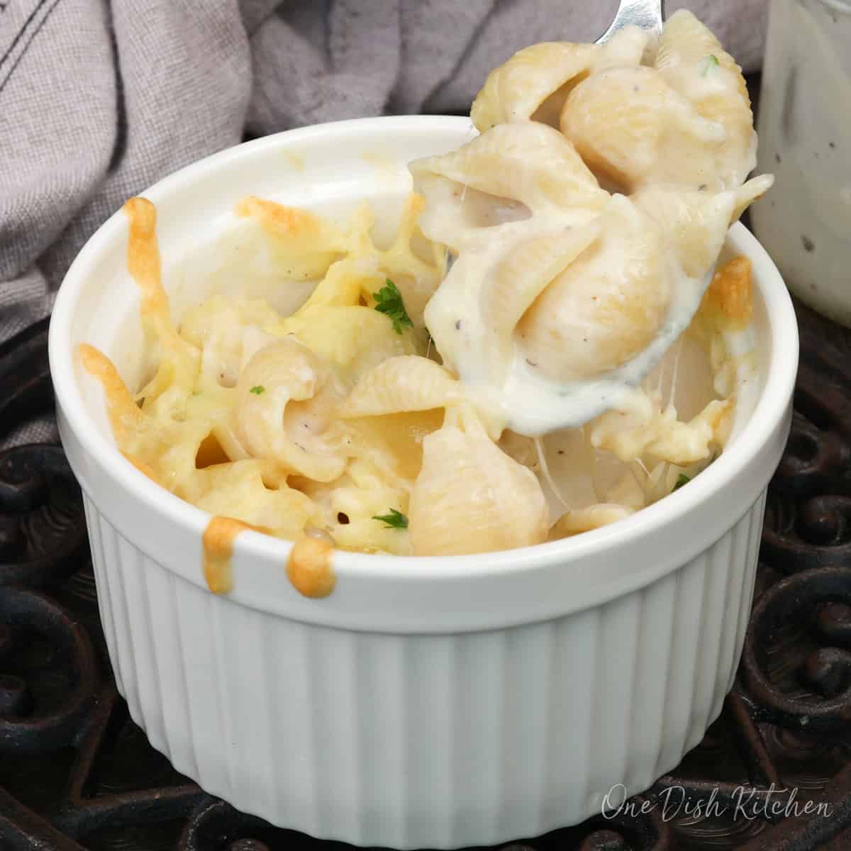 a bowl of pasta with bechamel sauce.