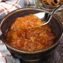 a single serving of homemade applesauce with spoon on the side of the bowl.