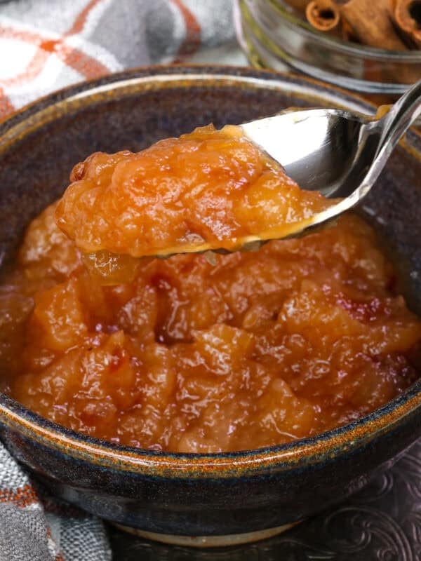 a single serving of homemade applesauce with spoon on the side of the bowl.
