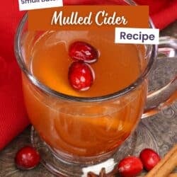 Small Batch Mulled Cider made with apple cider, cranberries, orange, cinnamon, and star anise.