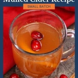 Small Batch Mulled Cider made with apple cider, cranberries, orange, cinnamon, and star anise.